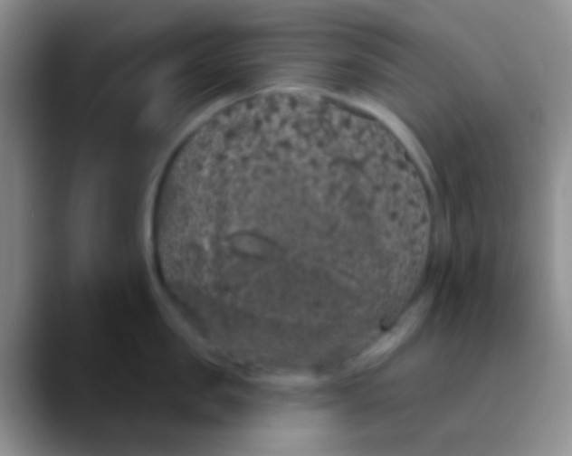 X0000089880957200707191954