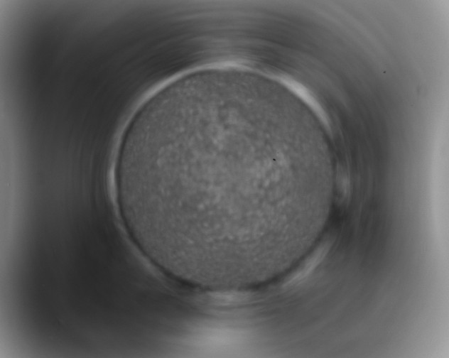 X0000089880959200707191954