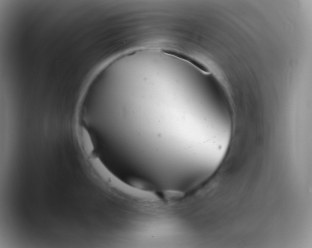 X0000089880960200707191954