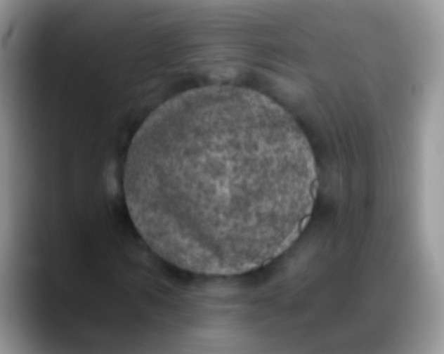 X0000089880962200707191953