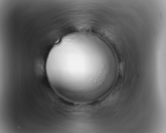 X0000089880963200707191953