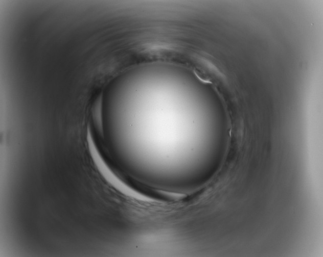 X0000089880965200707191953