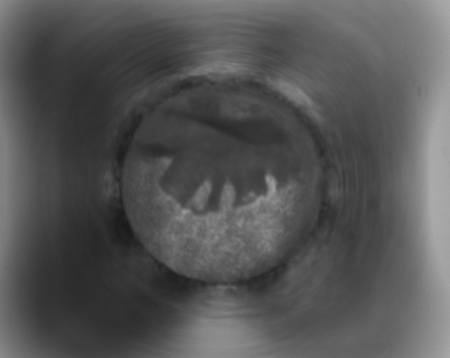 X0000089880966200707191953