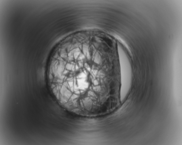 X0000089880975200707191953