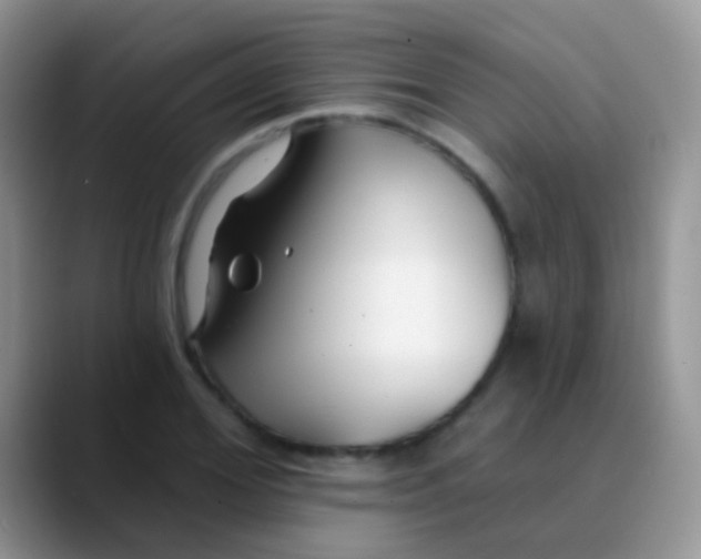 X0000089880980200707191953