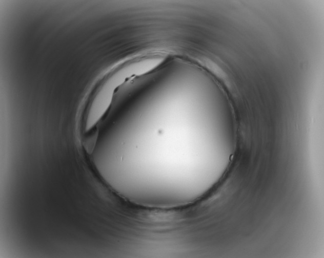 X0000089880981200707191953