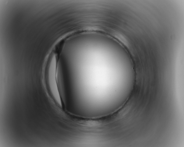 X0000089880984200707191953