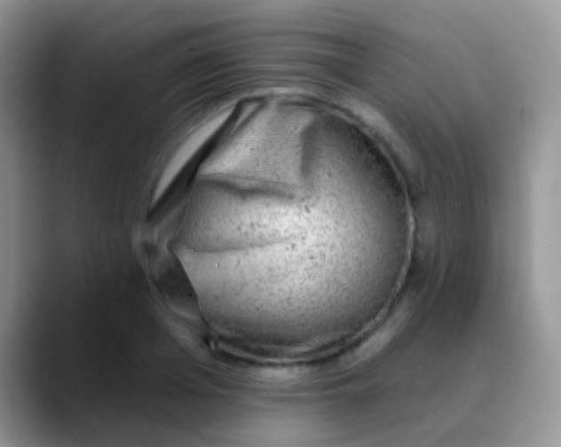 X0000089880985200707191953