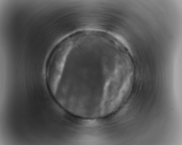 X0000089880990200707191953