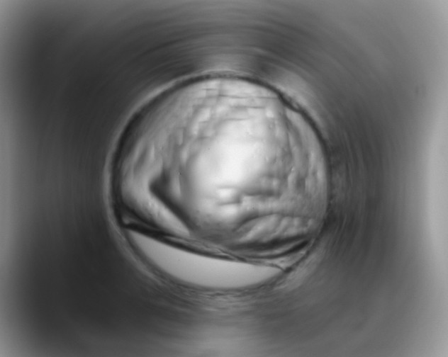 X0000089880991200707191953