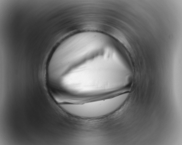 X0000089880992200707191953