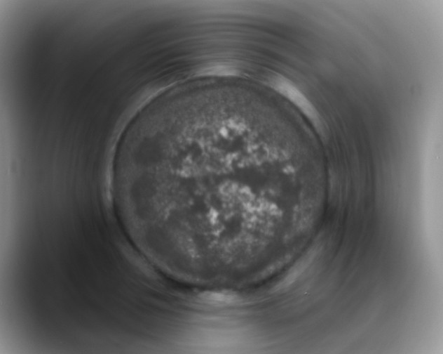 X0000089880994200707191953