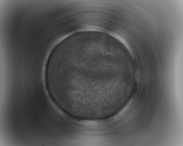 X0000089880995200707191953