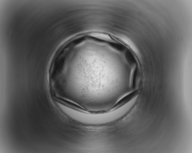 X0000089880996200707191953