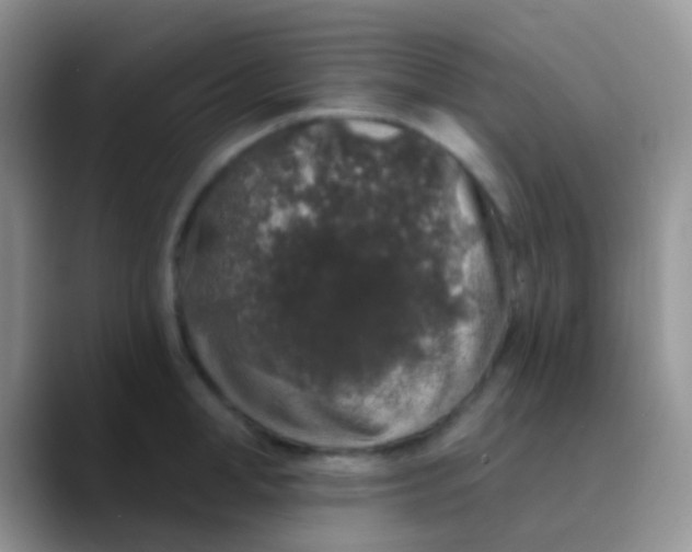 X0000089880998200707191953