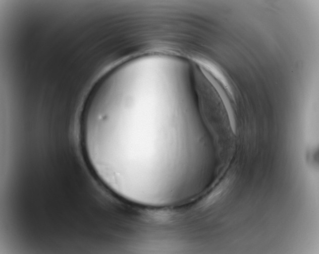 X0000089880999200707191953