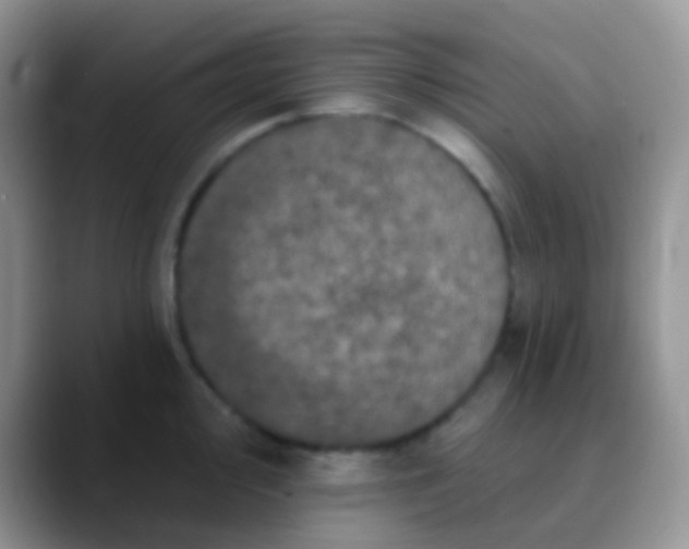 X0000089881000200707191953