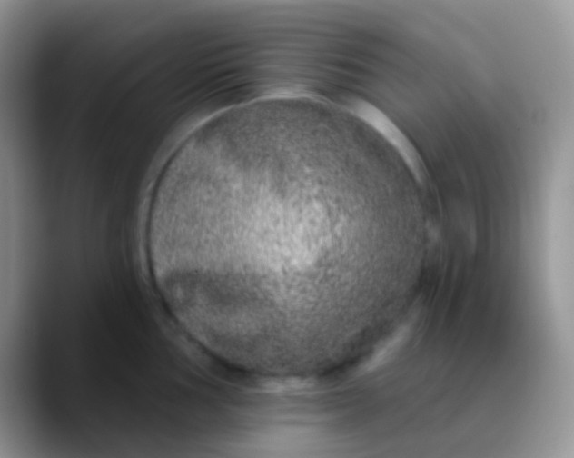 X0000089881002200707191953