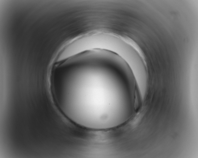 X0000089881005200707191953