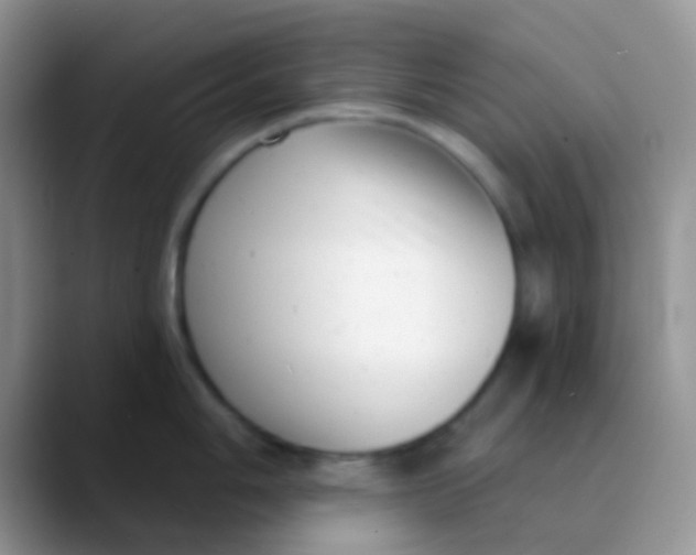 X0000089881006200707191953