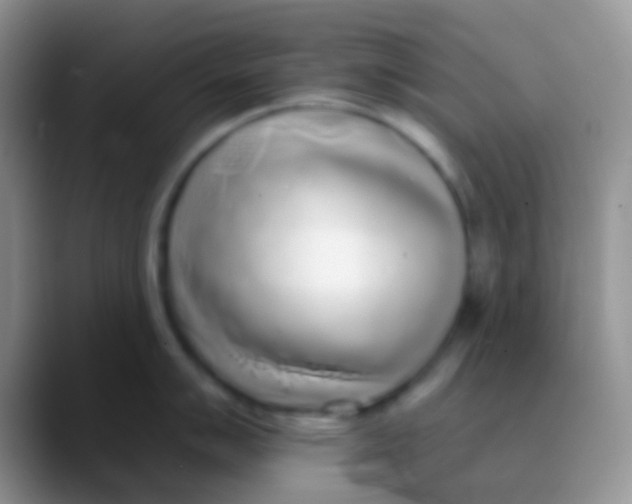 X0000089881007200707191953