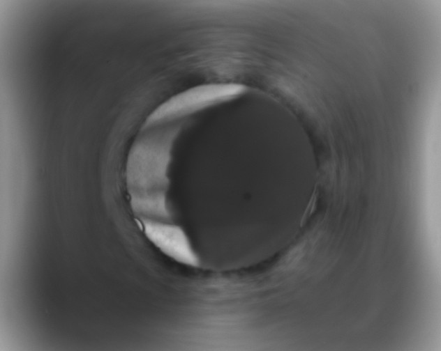 X0000089881009200707191952