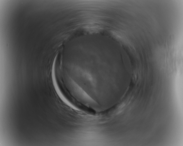 X0000089881010200707191952