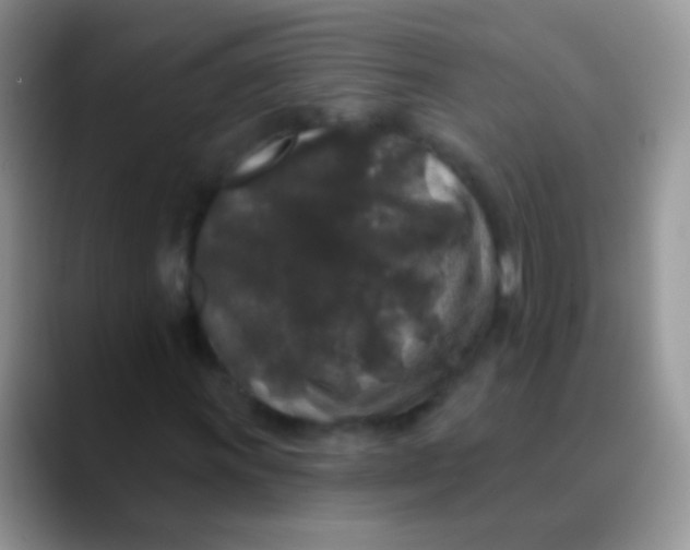 X0000089881011200707191952