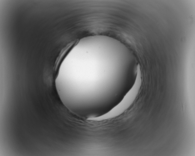 X0000089881012200707191952