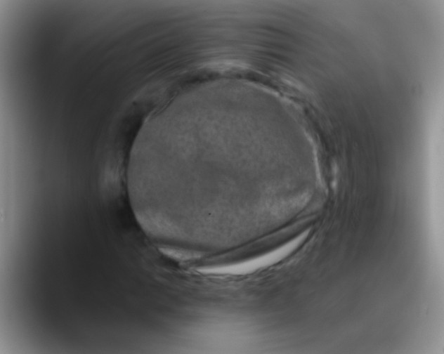 X0000089881014200707191952