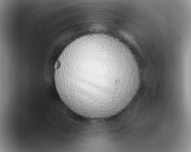 X0000089881015200707191952