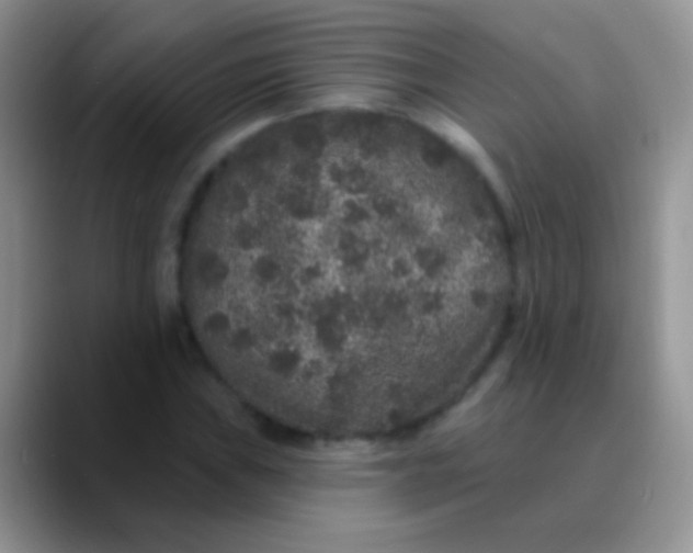 X0000089881019200707191952