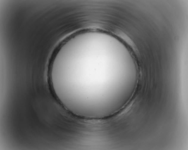 X0000089881020200707191952