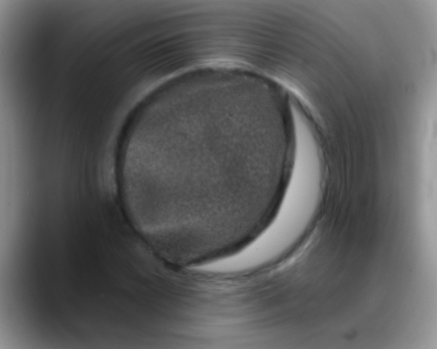 X0000089881022200707191952