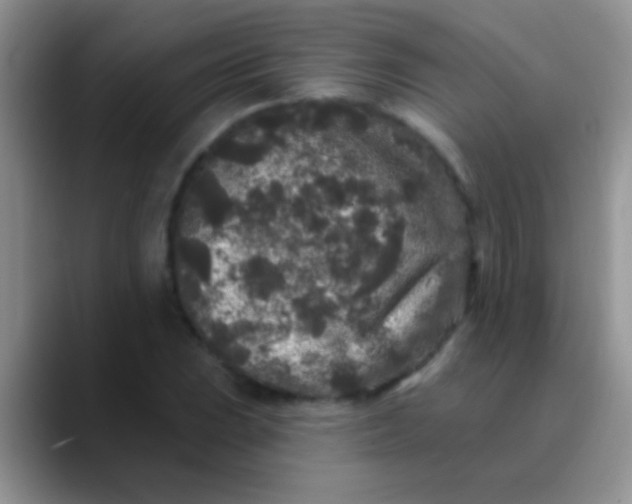 X0000089881023200707191952