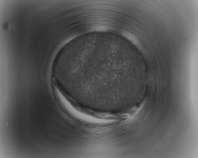 X0000089881026200707191952