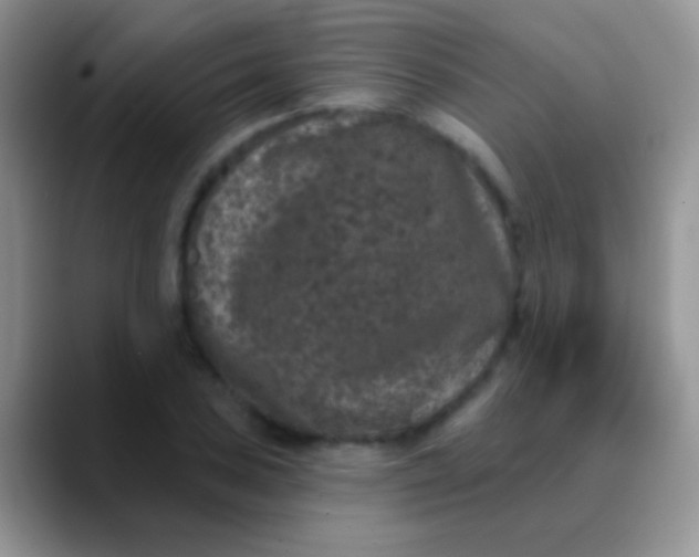 X0000089881027200707191952