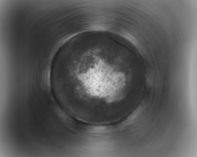 X0000089881030200707191952