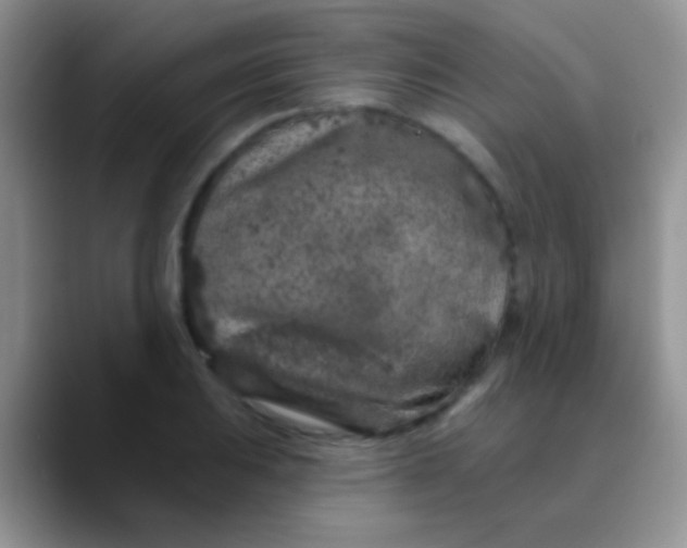 X0000089881031200707191952