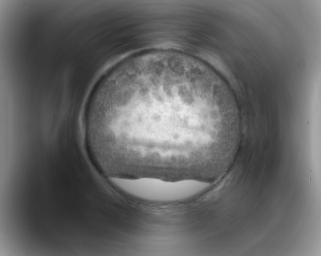 X0000089881032200707191952