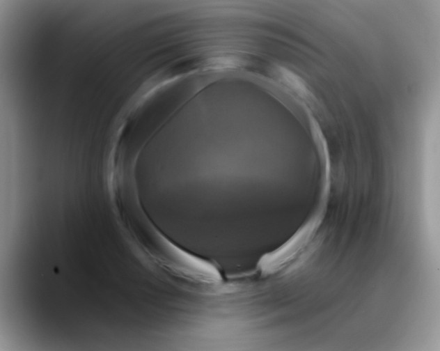 X0000089881034200707191952