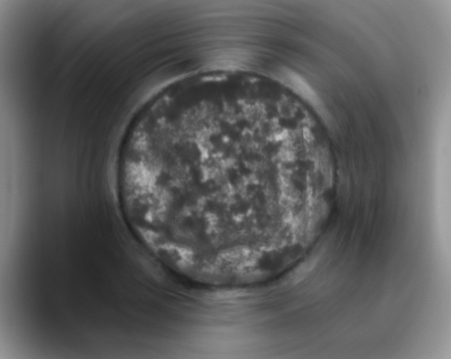 X0000089881035200707191952