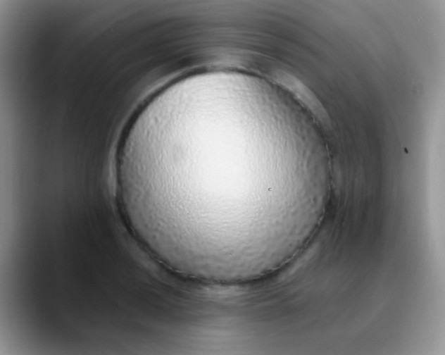 X0000089881036200707191952