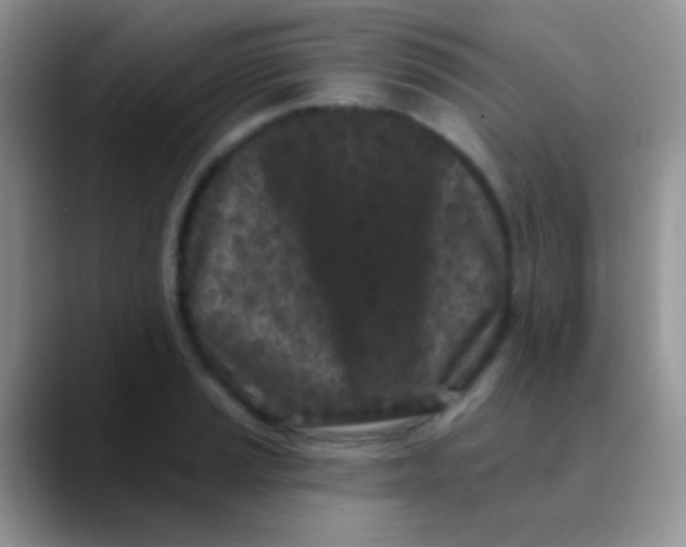 X0000089881037200707191953