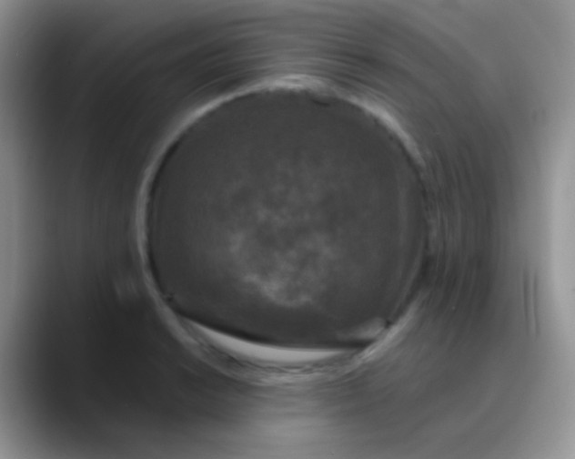 X0000089881038200707191953