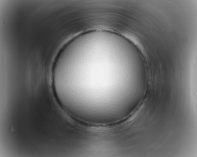 X0000089881040200707191953