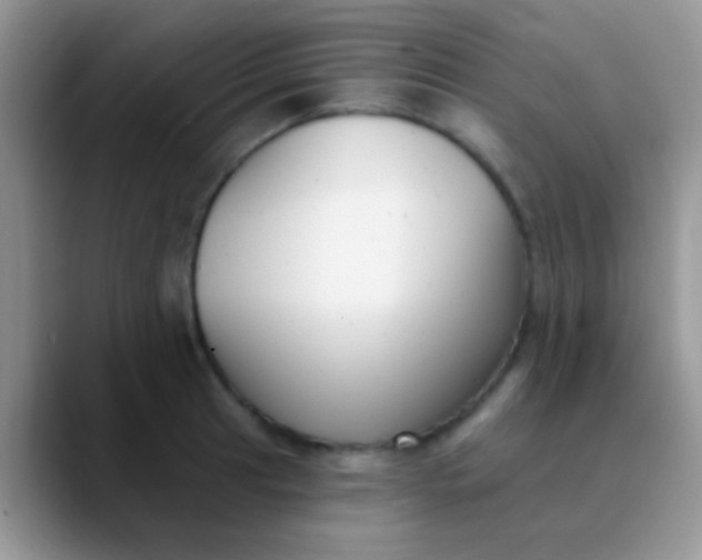 X0000089881041200707191953