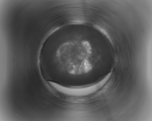 X0000089881042200707191953