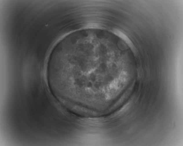 X0000089881043200707191953