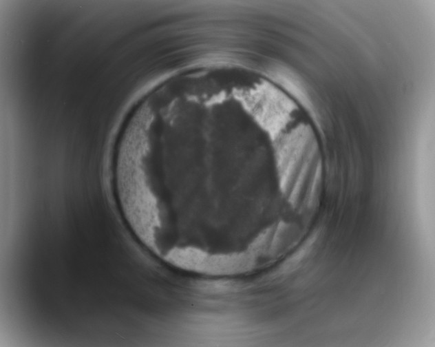 X0000089881045200707191953